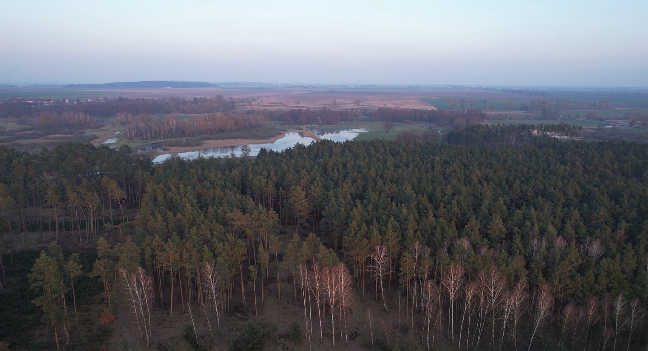 Zdjęcia lasu i pól z lotu ptaka wykonane przez drona VisDron