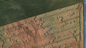 Powietrzna mapa przedstawiajaca pole uprawne z placami zniszczonych upraw.