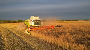 Kombajn koszący zboże. Ujęcie z lotu ptaka.